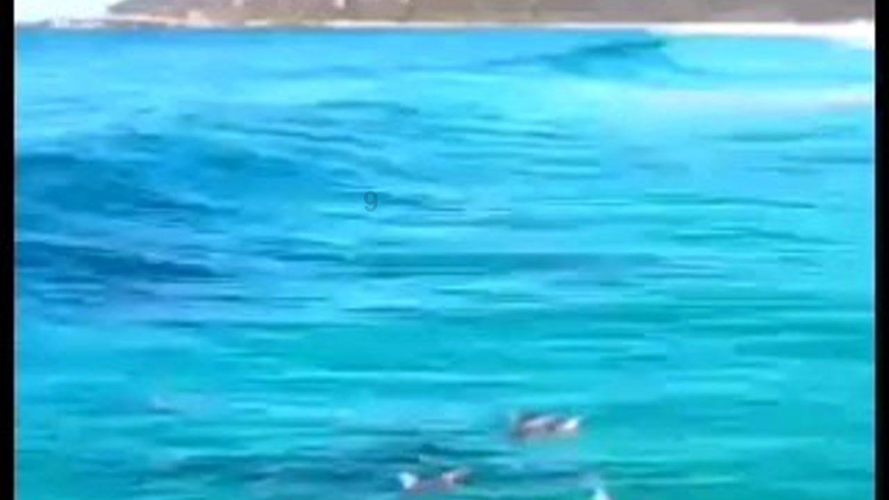 照顾小兔宝宝