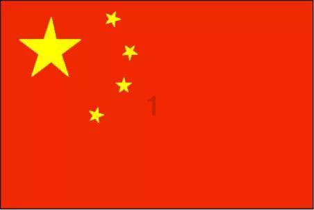 金牌保镖熊先生