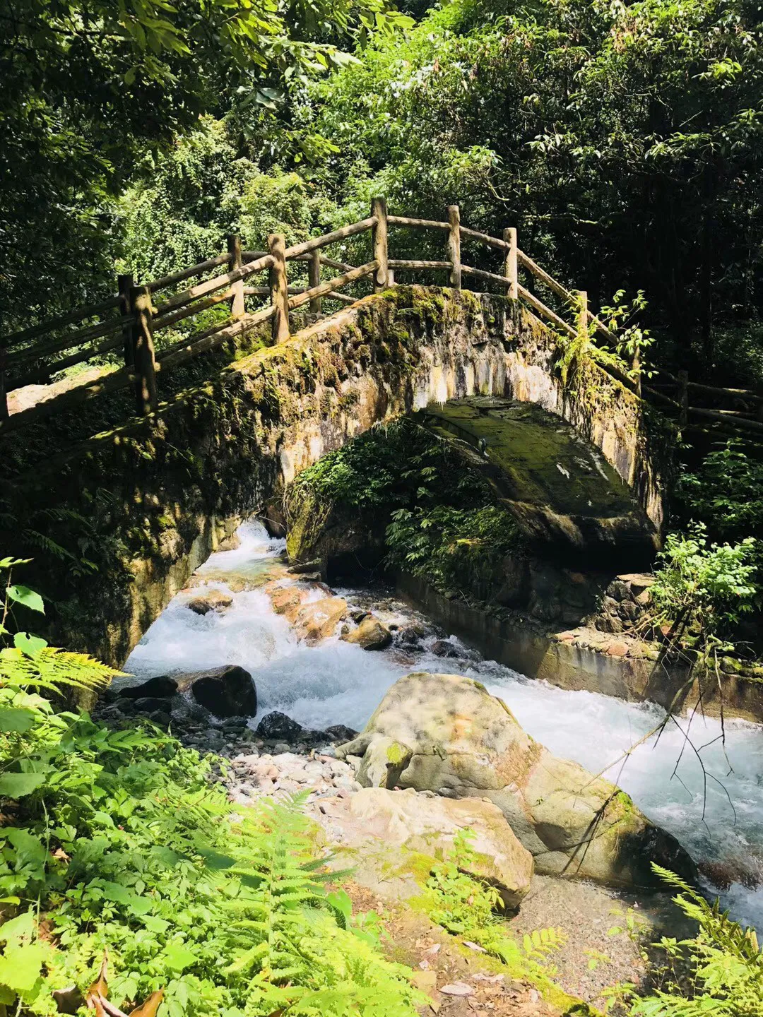 拯救足球运动员