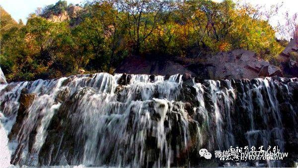 脑洞小老弟无实名认证